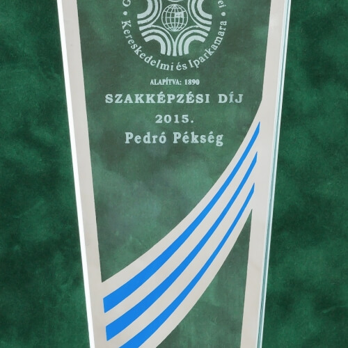 Szakképzési díj 2015